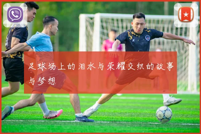 足球场上的泪水与荣耀交织的故事与梦想